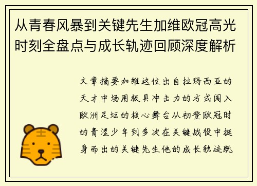 从青春风暴到关键先生加维欧冠高光时刻全盘点与成长轨迹回顾深度解析