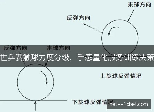 世乒赛触球力度分级,手感量化服务训练决策 世乒赛触球力度分级,手感量化服务训练决策